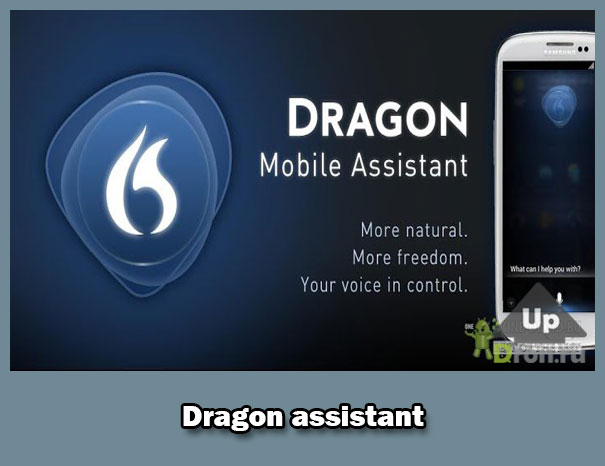 Dragon Mobile Assistant